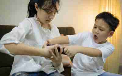 Oh, great. The kids are fighting again. (Part 1 of a 2-Part Article)